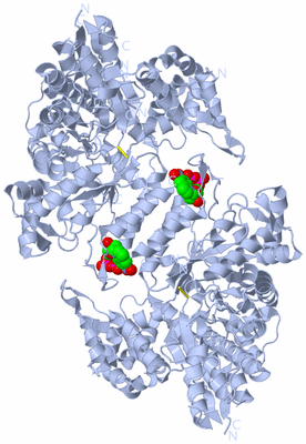 Image Biological Unit 1