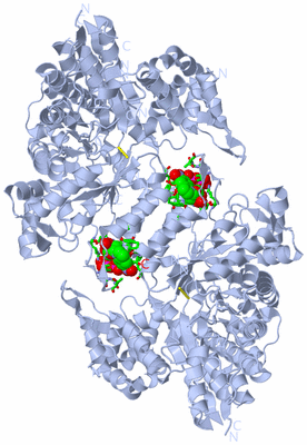 Image Biol. Unit 1 - sites