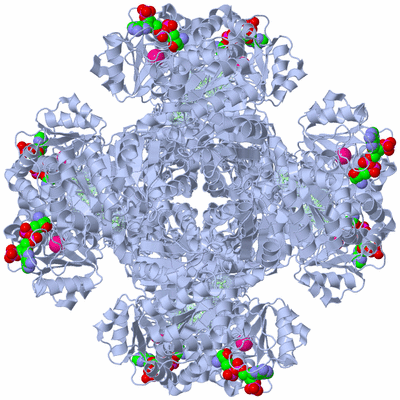 Image Biological Unit 1