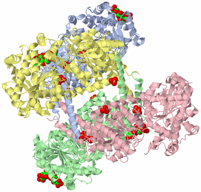 Image Asym./Biol. Unit