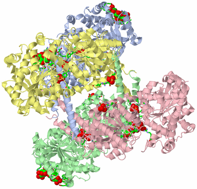 Image Asym./Biol. Unit - sites