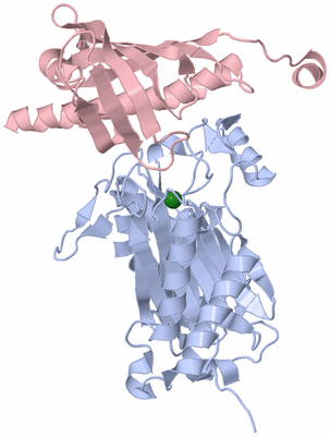Image Biological Unit 1