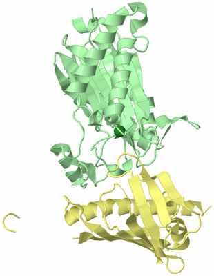 Image Biological Unit 2