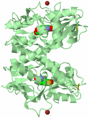 Image Biological Unit 1