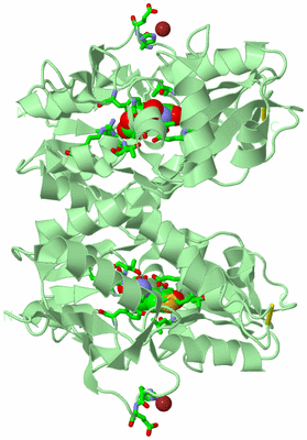 Image Biol. Unit 1 - sites