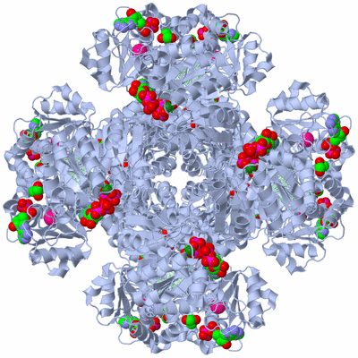 Image Biological Unit 1