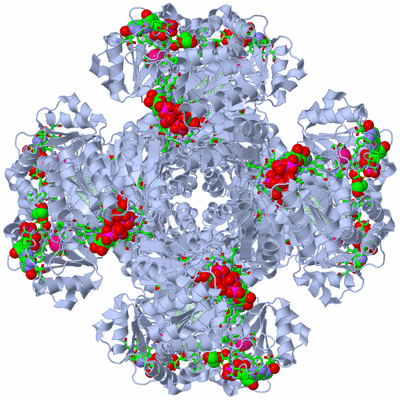 Image Biol. Unit 1 - sites