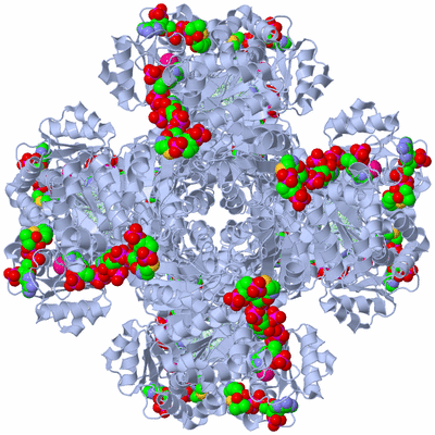 Image Biological Unit 1