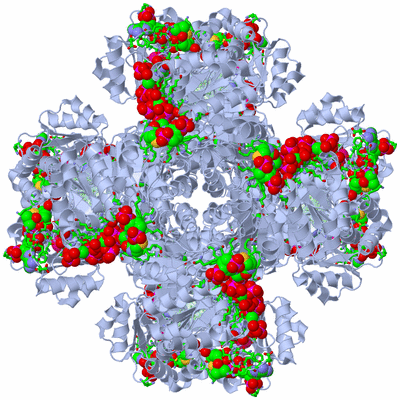 Image Biol. Unit 1 - sites