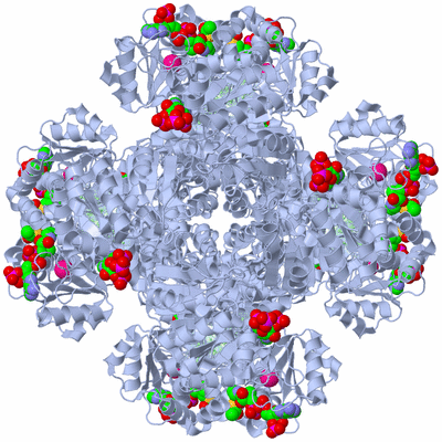 Image Biological Unit 1