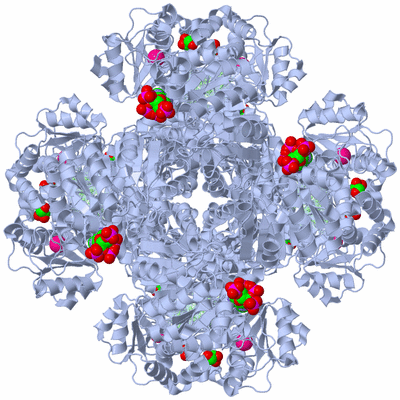 Image Biological Unit 1