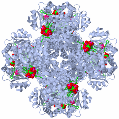 Image Biol. Unit 1 - sites