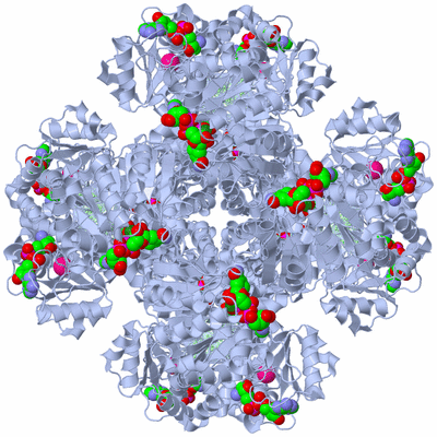 Image Biological Unit 1