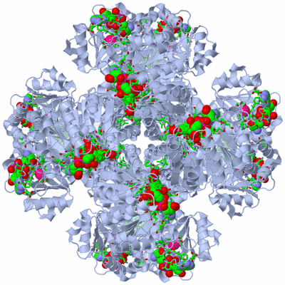 Image Biol. Unit 1 - sites