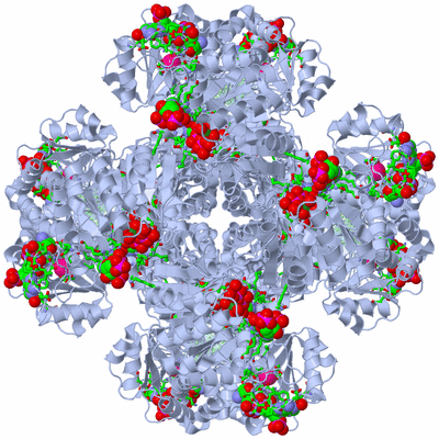 Image Biol. Unit 1 - sites