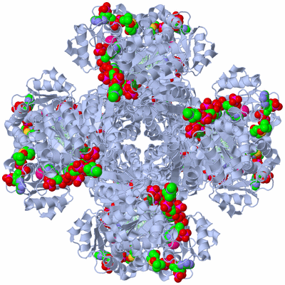 Image Biological Unit 1