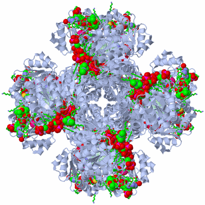 Image Biol. Unit 1 - sites