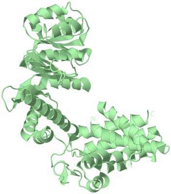 Image Biological Unit 3