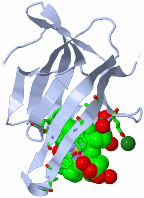 Image Biol. Unit 1 - sites