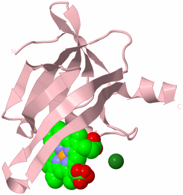 Image Biological Unit 3