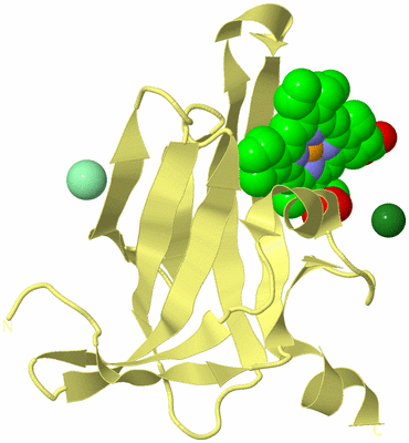 Image Biological Unit 4