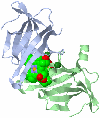 Image Biological Unit 5