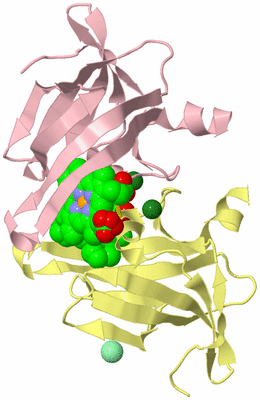 Image Biological Unit 6