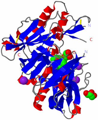 Image Asym./Biol. Unit