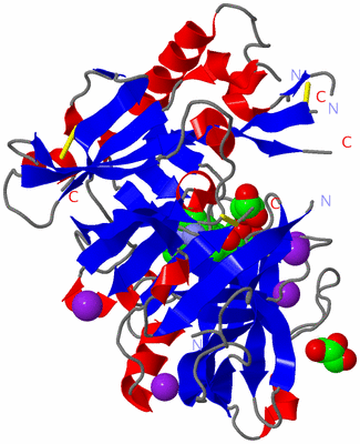 Image Asym./Biol. Unit