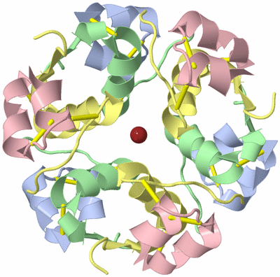 Image Biological Unit 1