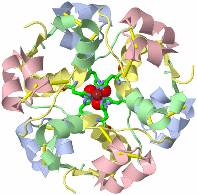 Image Biol. Unit 1 - sites