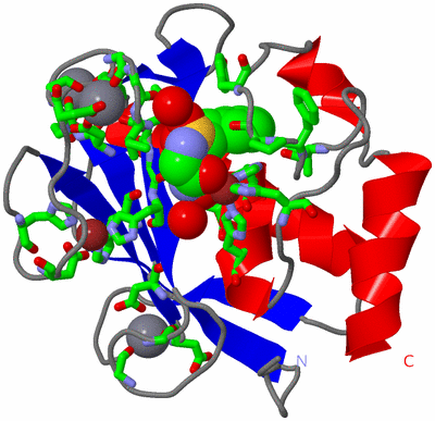 Image Asym./Biol. Unit - sites