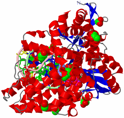 Image Asym./Biol. Unit