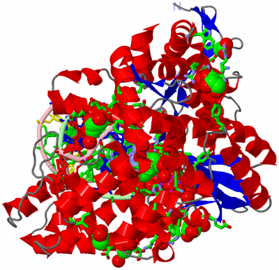 Image Asym./Biol. Unit - sites