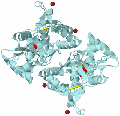 Image Biological Unit 2