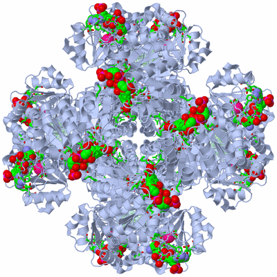 Image Biol. Unit 1 - sites