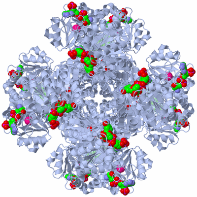 Image Biological Unit 1