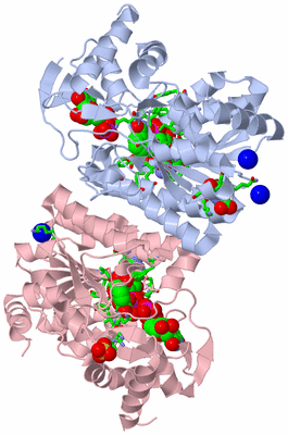 Image Biol. Unit 1 - sites