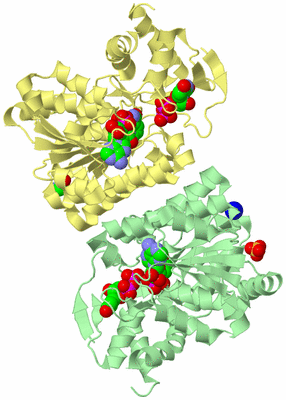 Image Biological Unit 2