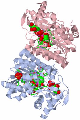 Image Biol. Unit 1 - sites