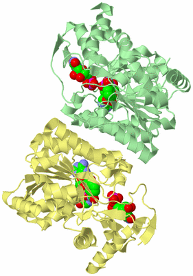 Image Biological Unit 2