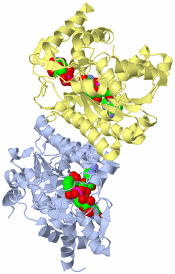 Image Biological Unit 1