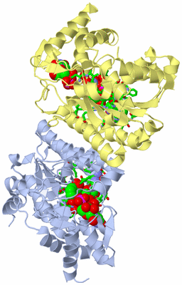 Image Biol. Unit 1 - sites