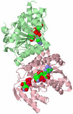 Image Biological Unit 2