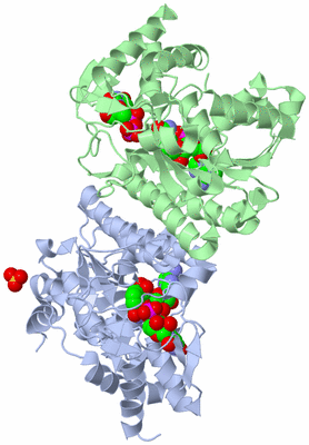 Image Biological Unit 1