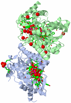 Image Biol. Unit 1 - sites