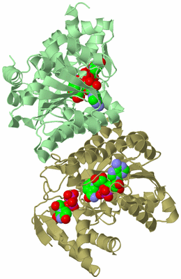 Image Biological Unit 2