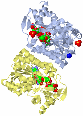 Image Biological Unit 1