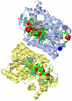 Image Biol. Unit 1 - sites