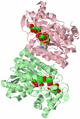 Image Biological Unit 2